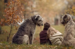 Найкращі друзі людини. Милі та кумедні фото собак та їх власників