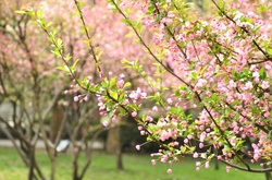Синоптики повідомили, коли в Україні потеплішає