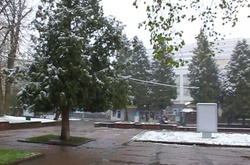 Сніг на Львівщині