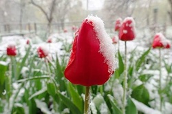 Мешканці Запоріжжя у соцмережах бідкаються через негоду.