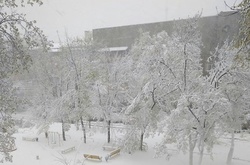 Снігопад на Харківщині