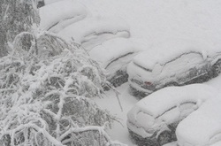 Снігопад у Дніпрі