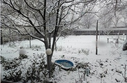  Сергей Бабкин и Фагот мерзнут в Харькове