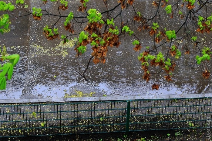 Дощ, холод, вітер: фоторепортаж із квітневої Одеси