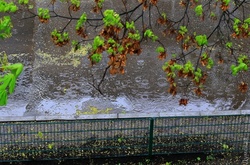 Фото: Думская, Сергій Смоленцев