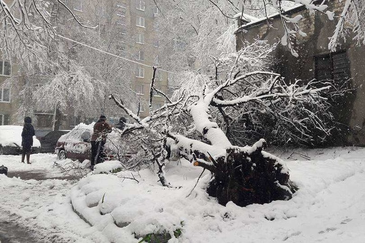 Негода в Україні: знеструмленими залишаються майже 200 населених пунктів