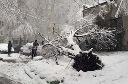 Снігопад у Харкові