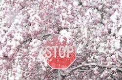 Синоптики  попереджають про ще більше погіршення погодних умов 