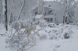 Снігопад паралізував дороги Харкова. 