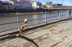   В Ужгороді частково відновлено опалювальний сезон.  