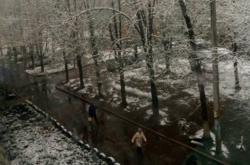 Снігопад в Україні