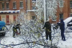 Падіння дерев через налипання мокрого снігу та сильний вітер