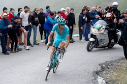 Мікеле Скарпоні