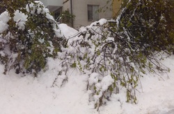 Наслідки негоди в Молдові.&nbsp;