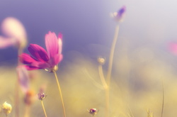 Погода на 25 квіітня