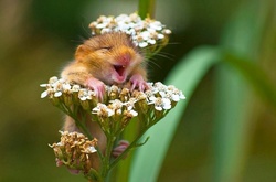 В Україні буде вітряно, але значно тепліше