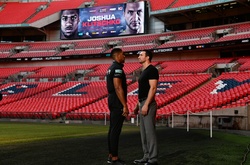 Кличко і Джошуа розсудить відомий американський рефері