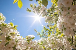 Сьогодні в Україні повітря прогріється до +22 