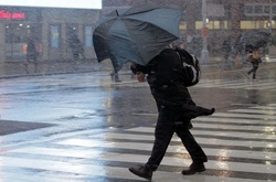 Пориви вітру