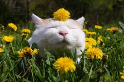 Початок вихідних в Україні буде теплим