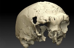 В окупованому Криму торгують черепами військових, загиблих у Другій світовій 