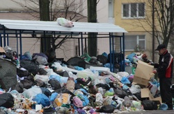  Львівське сміття 
 Фото: Радіо Свобода 