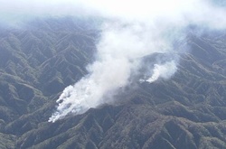  Підвищення рівня радіації внаслідок пожежі не зафіксовано 