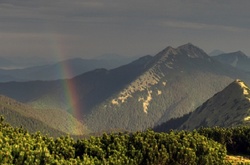 Гора  Довбушанка у карпатах