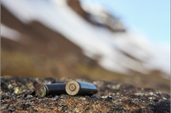 У передмісті Парижа сталася стрілянина, одна людина загинула