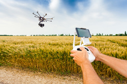  Особи, причетні до таких інцидентів, будуть затримані і притягнуті до відповідальності. 