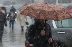 Директор Укргідрометцентру назвав причину травневого снігу в Києві 