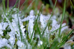 Синоптики прогнозують різке зниження температури у Києві