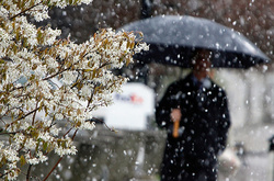 11 травня в Україні переважатиме суха погода