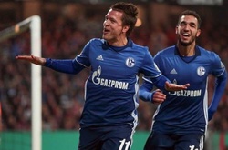 Коноплянка залишиться в «Шальке»