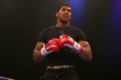 Представники антидопінгового агентства перевірили Ентоні Джошуа