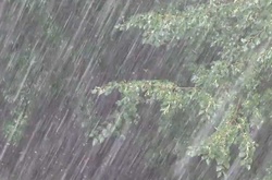 На заході України очікуються сильні дощі