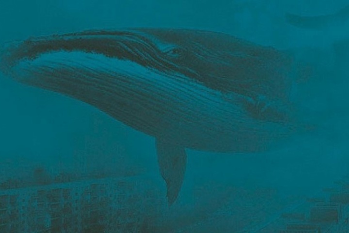 На Донеччині поліцейський врятував від смерті 15-річну жертву «Синього кита»