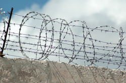 Від побоїв у колонії на Миколаївщині помер засуджений