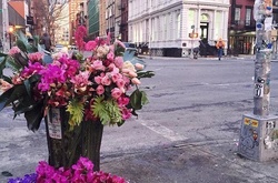 Нью-йоркский флорист превращает городские урны в гигантские цветочные вазы