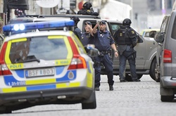 Поліція Стокгольма затримала росіянина, який запустив безпілотник над парламентом Швеції