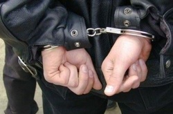 Через стрілянину у Вільшанах затримано депутата облради 