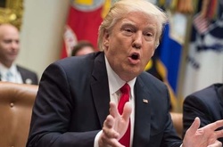  Дональд Трамп. 
 Фото: AFP 