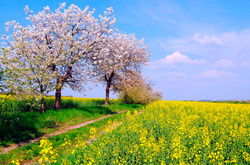 У п’ятницю в Україні потеплішає