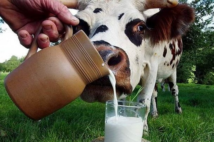 В Україні можуть заборонити продаж домашнього молока