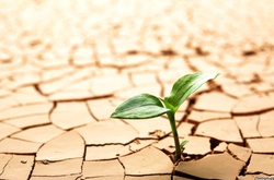 Зневоднення Криму як шлях до деокупації?