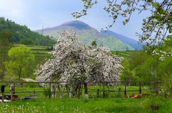 Тепла погода в Україні