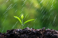 Сьогодні в Україні тепло, але місцями пройдуть дощі 