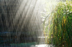 Дощова погода