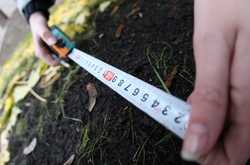 Конституційний суд завтра відмовить бажаючим відкрити ринок землі?