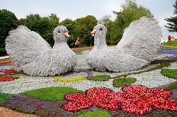 Виставка квитів у Києві